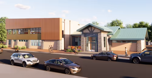 Buena Vista Library Renovation